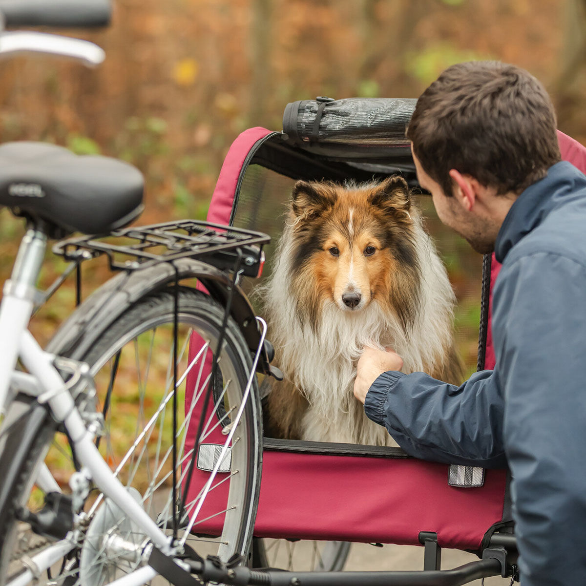 Trixie Cykelvagn  svart/röd 